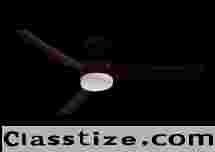 Best Quality Premium Designer Fan