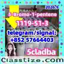 CAS:1119-51-3 5-Bromo-1-pentene with