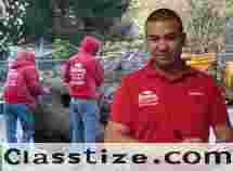 Professional Lot Clearing Tree Service in NJ – Safe, Efficient, and Reliable