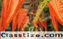 Floral and classic wedding decorator in Pune for dream-like wedding décor