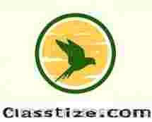 Hand-Raised Parrots for Sale – ParrotPro Breeders