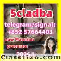 5cl 5cladba best cannabinoid 5cladba precursor raw 5cl-adb-a