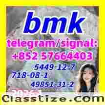 China Factory CAS 5449-12-7 BMK Glycidic Acid 多种产品