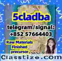 5cladba raw material adbb 5CL-ADB-A 5cladba 5f-adb 