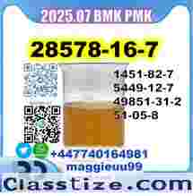 28578-16-7 BMK PMK factory 5449-12-7,49851-31-2,1451-82-7,51-05-8