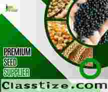 Get Improved Crops with Our Premium Seed Supplier