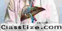 Fatty Liver Treatment in Gurgaon – Gutwell Clinic