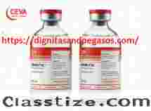 Nembutal for Sale in Spain | Buy Pentobarbital in Spain