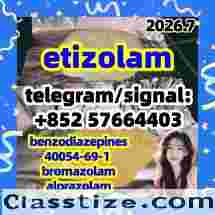 etizolam 40054-69-1 