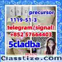 5cladba precursor powder 5cl adbb powder 