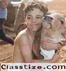 A2 Ghee for Kids: Brain Development, Immunity & Growth