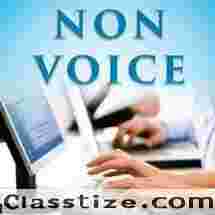 BPO non voice medical form filling night shift and day shift part/full time							
