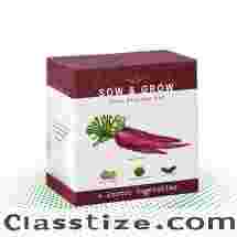 Get Custom Vegetable Seed Boxes at Wholesale Prices