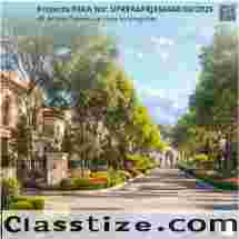 Why To Invest Ats Province D Olympia