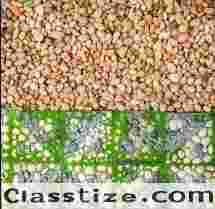 Professional Gravel Driveway Installation Florida