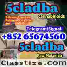 5cladba adbb jwh-018 5f-adb precursor ，main powder,yellow powder,raw material,Telegram/Signal：+852 65674560 5cladba Cas: 2709672-58-0  5cladba Raw Materials precursor，5Cladba 5Cladba Yellow Cannabinoid Powder 5CL Strongest cannabis 5f abd 5cladba powder 5cl-adb-a jwh-018 lowest price large stock， 1119-51-3 68-12-2 dmf k2 584-08-7 109555-87-5  43120-28-1  alprazolam 28981-97-7 benzodiazepines      bromazolam 71368-80-4   etizolam 40054-69-1   802855-66-9 eutylone 3mmc 4mmc 17764-18-0 mdma   PMK 28578-16-7 powder oil ethyl glycidate 1369021-80-6 1451-82-7  BMK 5449-12-7 powder oil glycerin acid  49851-31-2  718-08-1  119276-01-6 protonitazene opioid isotonitazene metonitazene 14188-81-9 14680-51-4 China factory supply China supplier hot sale safe delivery door to door new formula top quality source factory yellow And  white powder best price free sample the warehouse has goods in stock  Telegram/Signal：+852 65674560