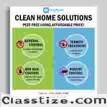 Pest Control Service by LocalRamu to Eliminate Pests from home in Bangalore