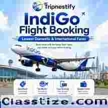 IndiGo Flight Booking Online – Best Airfare Deals | Tripnestify