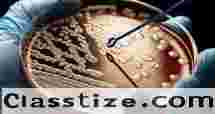 B.Sc. Microbiology at Vidya University Meerut