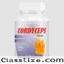 Buy Cordyceps Pulse in India - Cordyceps Pulse Price & Reviews