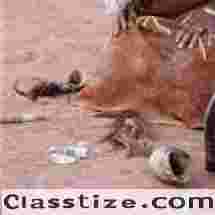 Your Trusted Spiritual HealerYour Trusted Spiritual Healer+27790412887