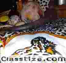 Best Witch Doctor (♥+27735222291♥)  Black Magic Home cleansing Spells Dallas, TX Business Rescue spells To Boost Business Sales Houston, TX , USA