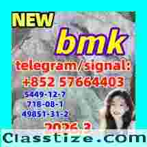 CAS 5449-12-7 Best Selling BMK Glycidic Acid (sodium salt) 