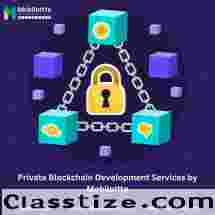Private Blockchain Development Services by Mobiloitte