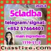 CAS: 137350-66-4 5cladb/5cl-adb-a/5cladbb