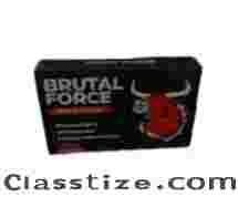 Buy Brutal Force in Georgia - Brutal Force Price & Reviews