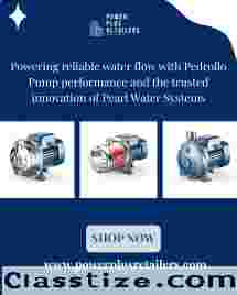 Reliable Pedrollo Water Pump for Efficient Water Transfer