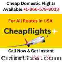Cheap Domestic Flight Tickets Available +1-866-579-8033