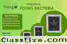 Nitrogen Fixing Bacteria for Organic Farming – Now Available in Bulk