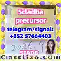 Buy 5cladba online, Metomidate powder,