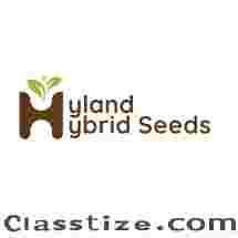 Best watermelon variety in india | Hyland Hybrid Seeds