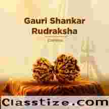  Nepali 2 Mukhi Rudraksha (Two Faced) for Love