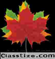 Maplepets : Hagen Pet Product, Pet shop , Pet store and Pet Food