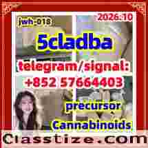 Raw materials 5cl-adb supplier 5cladba