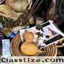 SPIRITUAL GUIDANCE BY A PSYCHIC MEDIUM, BEST THERAPIST  (♥+27735222291♥)-Free Psychic Readings- Martinique- Mauritania- Mauritius- Mayotte- Mexico- Micronesia