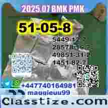 51-05-8 source factory bmk pmk 5449-12-7,28578-16-7,49851-31-2,1451-82-7