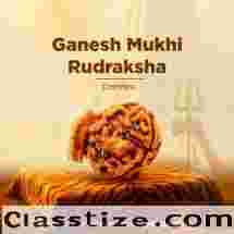 Ganesh Mukhi Rudraksha for Success by Dhwani Astro