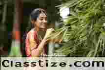 Step into the spotlight with popular makeup artists in Pune enhancing your beauty