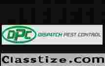 Bird Nest Removal Market Weighton