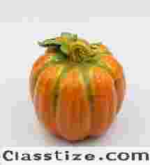 10365 Fine Ceramic Pumpkin Box, 6-1/8-Inch Orange
