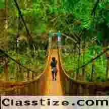North East Tour Package: Your Ultimate Adventure in Northeast India