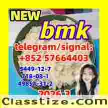 Hot sales CAS 5449-12-7 BMK Glycidic Acid (sodium salt) with high purity 