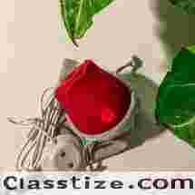 Enjoy This Winter Offer on Sex Toys in Nashik