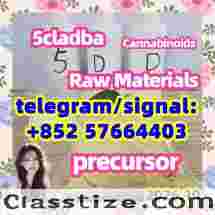 Buy most powerful 5cladba precursor raw