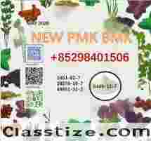 Quick delivery 28578-16-7/5449-12-7 PMK BMK Powder for urgent orders 