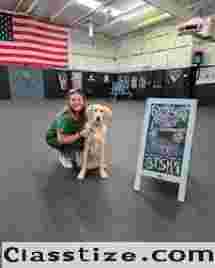 Dog Training Lessons
